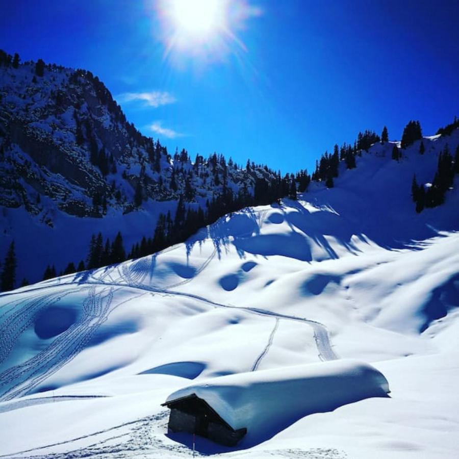 Swisshut Stunning Views Alps Lake - Chalet Erli Därligen Exterior foto